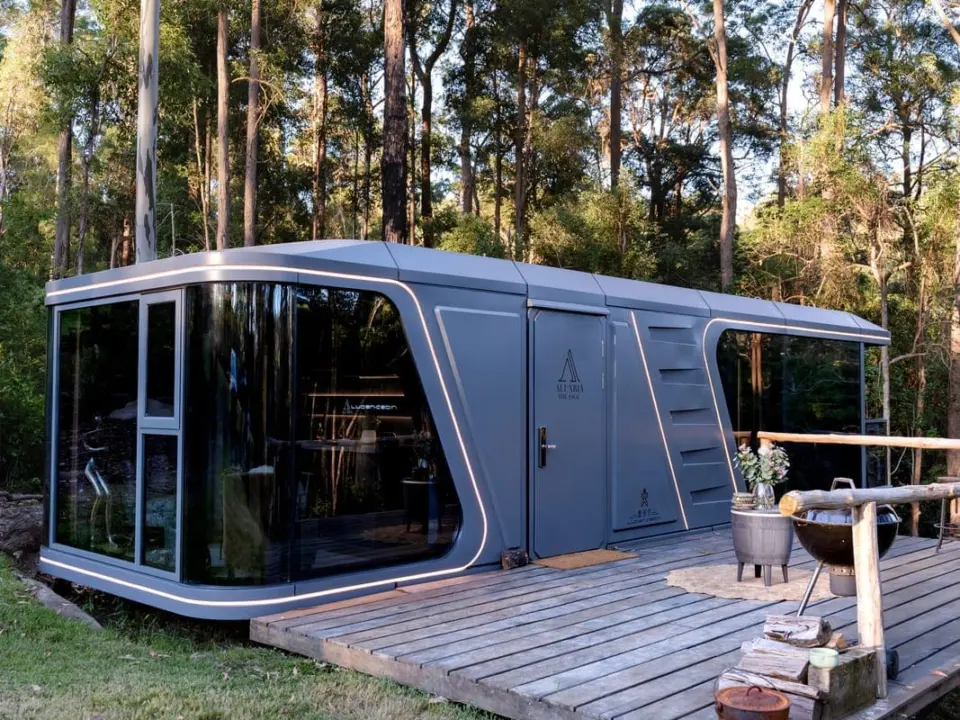 Aluxria capsule among tall trees